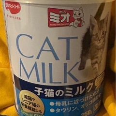 CAT MILK
