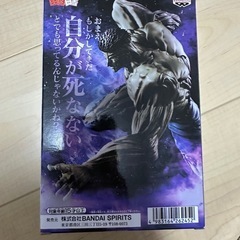 幽遊白書　フィギュアの画像