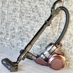 愛品館八千代店】Panasonic2019年製ダブルメタルプチサイクロンMC