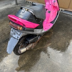 セピアZZ 書類あり！の画像