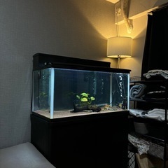 福岡市 引き取り限定】90cm水槽セット