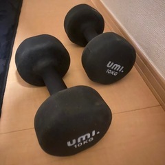 ぶら下がり健康機　懸垂　ダンベルの画像