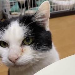 【三太♂】大人しいイケメン