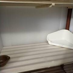 小動物のペットホテル★ご予約受付中 - 地元のお店