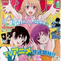 週刊少年マガジン ２０２５年１月２２日号 （講談社）