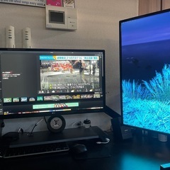 LG 24インチ　4K モニター　デュアルアーム　USB
