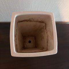 植木鉢　陶器　白の画像