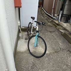 自転車　スポーツ　ロードバイク