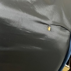 ロウヤ　LOWYA 2人掛け 肉厚フロアソファ の画像