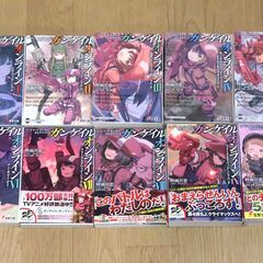 ソードアートオンライン オルタナティブ　ガンゲイルオンライン　1～10巻　計10冊　時雨沢恵一　ライトノベル　電撃文庫　本　中古品の画像