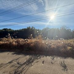 ★柏市鷲野谷　土地★480万円、約123.72坪！小屋有り、周辺自然豊かな環境、資材置場・畑に適しております◎売買 - 柏市