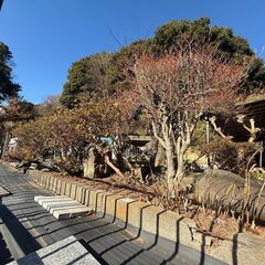 ★柏市鷲野谷　土地★480万円、約123.72坪！小屋有り、周辺自然豊かな環境、資材置場・畑に適しております◎売買 − 千葉県