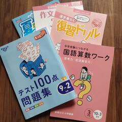 3年生　全家研のポピー、進研ゼミ、チャレンジタッチ