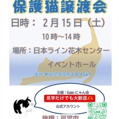 保護猫譲渡会in花木センター 20250215