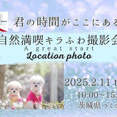 【茨城・つくば】キラふわ愛犬撮影会
