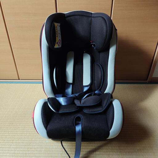 カイナ　1029a