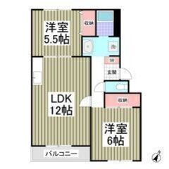 ✨🉐フリーレント1ヶ月付き🉐✨敷金0・礼金0🌟56.01㎡の2L...
