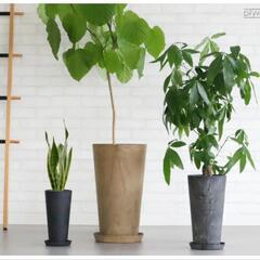 新品・大きめ植木鉢2点セットの画像