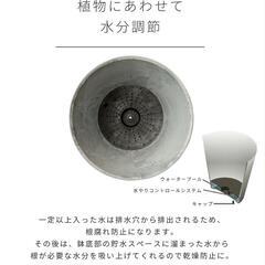 新品・大きめ植木鉢2点セットの画像
