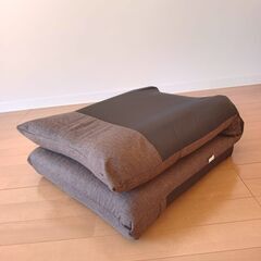 ★使用2ヶ月新品同様★アイリスオーヤマ　リクライニング 座椅子　ベストセラー1位！　＊日野市に引き取りに来られる方希望の画像