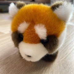 レッサーパンダぬいぐるみ