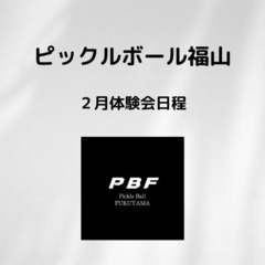 ピックルボール福山 2月体験会日程 - 福山市