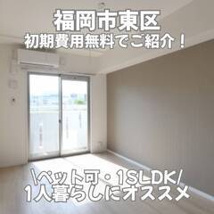 初期費用無料♪インターネット無料☆全室フローリング✨ペット可🐶🐱...
