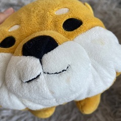 (決定致しました🙇‍♀️)箱ティッシュケース  柴犬の画像