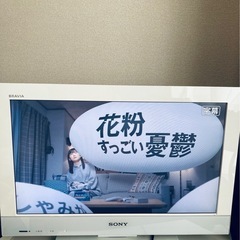 SONY BRAVIA KDL-22EX300の画像