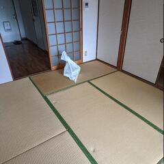 クッションフロアを貼れる方を募集します！