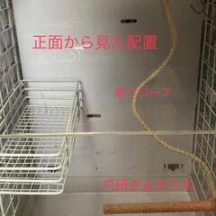 アクリルケージ　モモンガ（最終値引き）の画像