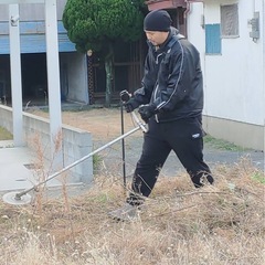 木の撤去🌲