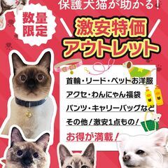 ★阪急塚口徒歩4分！2月22日ねこの日にゃん喫茶＆バザー＆パネル展 - フリーマーケット