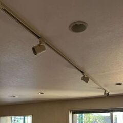 Downlights 💡 Please Take It Down...