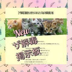 復活！【ザ解毒】毒親をお持ちのあなたの為の解毒掲示板 - 新宿区