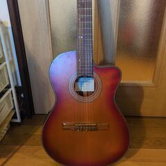 エレガット、ibanez GA37STCE(CSF)