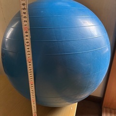 ストレッチボールの画像