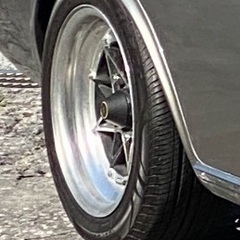スターシャーク・510ブル、サニトラの画像