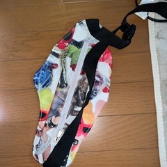 ヒスミニ　バッグ
の画像