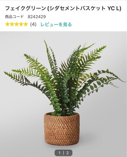 現在取引中【極美品】NITORI フェイクグリーン