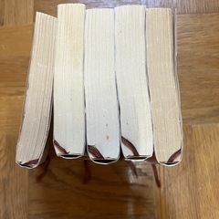 山崎豊子作　沈まぬ太陽1〜5の画像