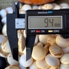 碁石 蛤 白石（厚み約9.4mm）那智黒 黒石 碁笥・足付碁盤付  囲碁道具スワブテ日向本榧製本カヤ柾目 の画像