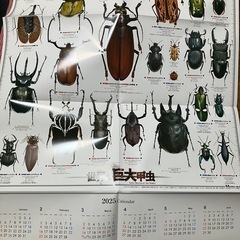 虫社カレンダー　