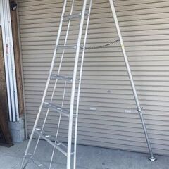 ①　園芸　アルミ三脚　足掛け付　2.5㎝　2.4m　　脚立　剪定