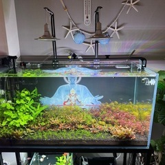 60cm水槽、フルスペクトル LEDライト 7200Lm