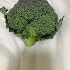 ブロッコリー