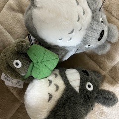 となりのトトロ ぬいぐるみ3点の画像