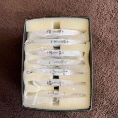 お値下げ中！業務用脱毛器 CLEAR/SP-ef#＜NBS> (まさ) 水戸の