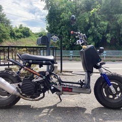 ズーマー
の画像