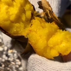 残り2組！【親子や友達と】みんなで🍠焼き芋作ろう✨